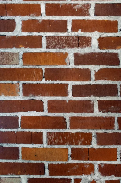 Mur de briques , — Photo