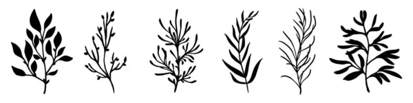 手描きの枝 枝のセット 分離された支店のアイコン ベクトルイラスト 葉のあるアブストラクト枝 — ストックベクタ