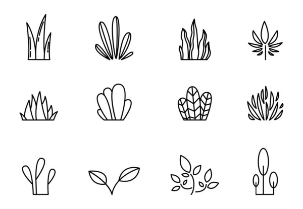 Növényi Ikonok Különböző Növények Növények Lineáris Ikonjainak Gyűjteménye — Stock Vector