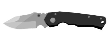 Jackknife. Cute jackknife isolated on white background. Vector illustration