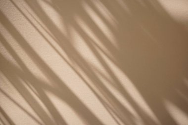 Pencerenin doğal gölgesi, temiz bej, kuru yaprakların üzerine kaplıdır. Renk dokusu soyut arkaplan. Ekran, düz yatak, sunum, arkaplan ya da model konsepti için.