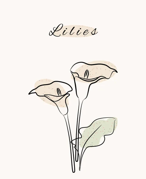 Lilies floral botanic nature line art hand drawn with abstract grunge organic shapes.