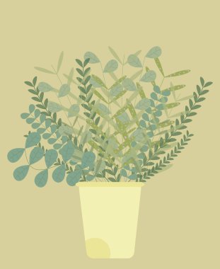 Succulent house plants natural hand drawn drawing organic doodle botany in a pot.