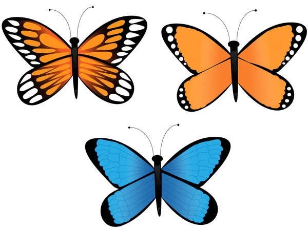 Mariposa. Ilustración de stock