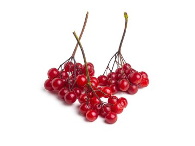 Beyaz arka planda birkaç parlak kırmızı küme yaban mersini var.