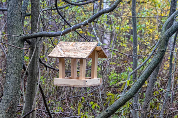 Alimentador Aves Madera Cuelga Una Rama Árbol Bosque Otoño Sobre —  Fotos de Stock