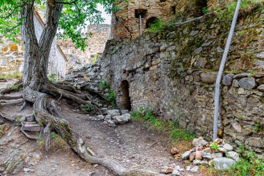 Ananuri, Georgia, 07.20.2019. Ağacın kökleri filizlendi ve Ananuri kalesinin eski taş duvarını kısmen tahrip etti.