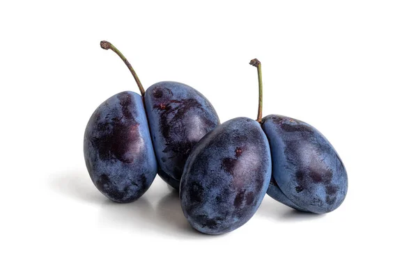 Deux Paires Prunes Violettes Fleurs Bleuâtres Boutures Vertes Isolées Sur — Photo