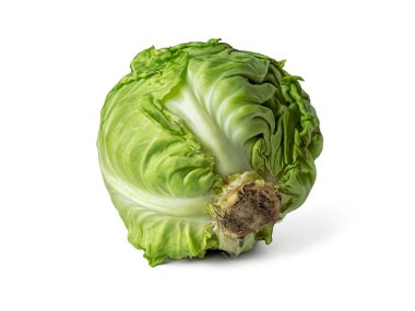 Yenebilir yeşil yapraklı, beyaz arka planda izole edilmiş, yuvarlak bir bahçe lahanası başı.