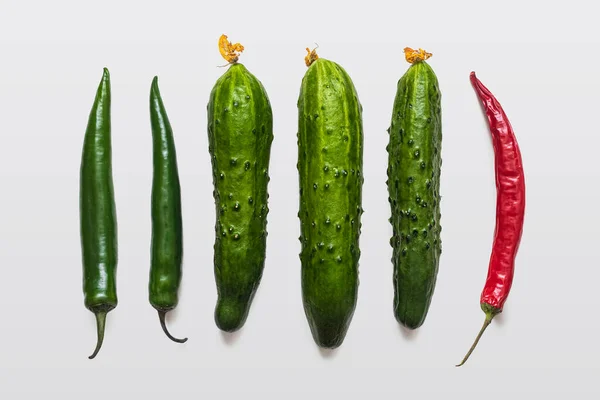 Weinig Komkommers Chili Pepers Liggen Een Lichte Achtergrond Een Rij — Stockfoto