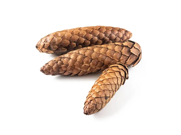 Three Elongated Fir Cones Brown Scales Isolated White Background — Stock Photo, Image