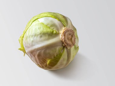 Beyaz lahanalardan oluşan yuvarlak bir kabak sapı ve yoğun yaprakları var.