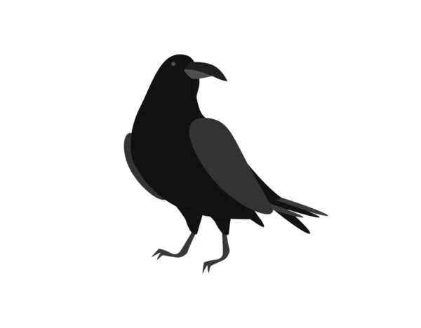 ブラックレイヴン。鳥の頭を回転させ、表面に座っている — ストックベクタ
