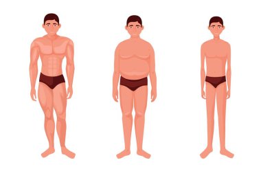 Farklı bir insan fiziği. Kas mesomorfik atletik vücut ve tam endomorfik.