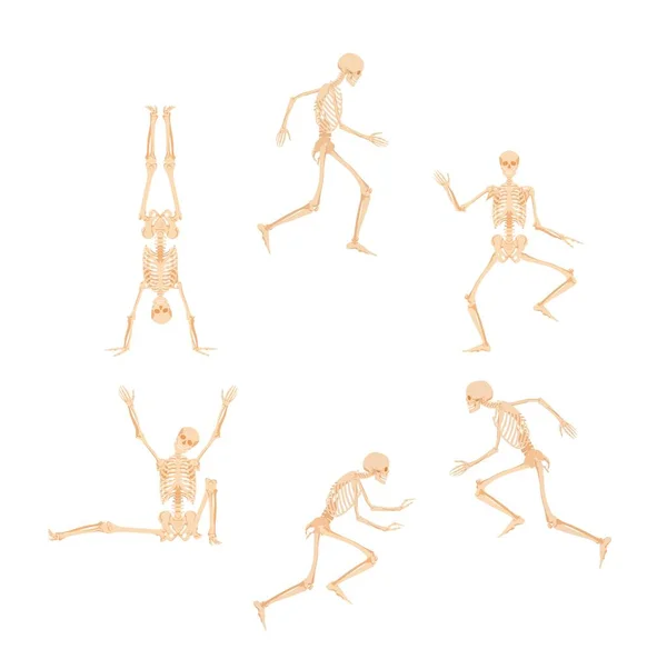 Cercle de squelettes qui dansent et courent. Les morts sautent joyeusement et se tiennent debout sur leurs mains — Image vectorielle