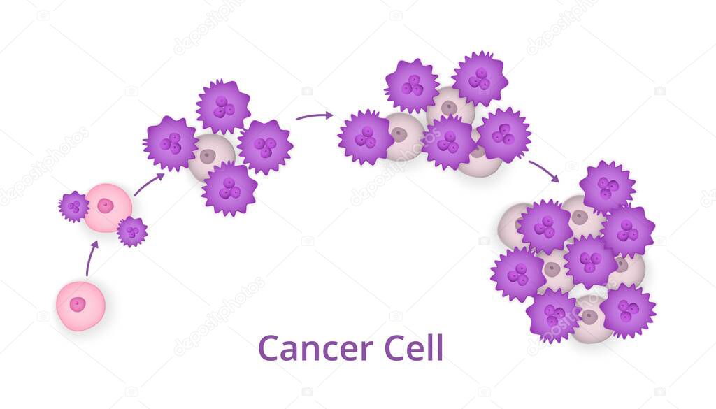Process of development of cancer cells
