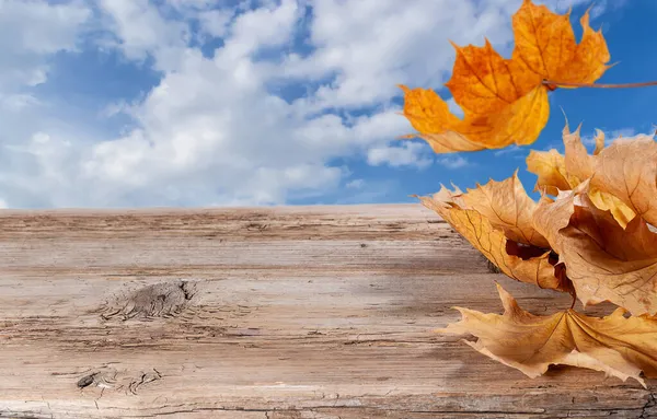 秋天的叶子 背景为旧的纹理木 蓝天白云映衬下 — 图库照片