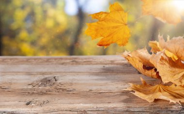 Sonbahar yaprakları mavi düşen ağaçlara karşı eski ahşap arka planda