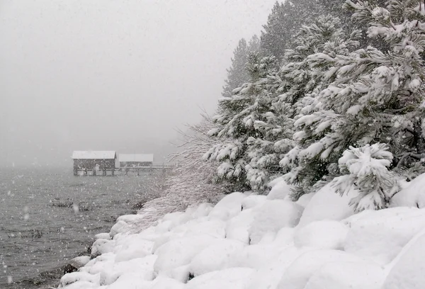 Snowstorm at Lake Tahoe — Stock Photo, Image