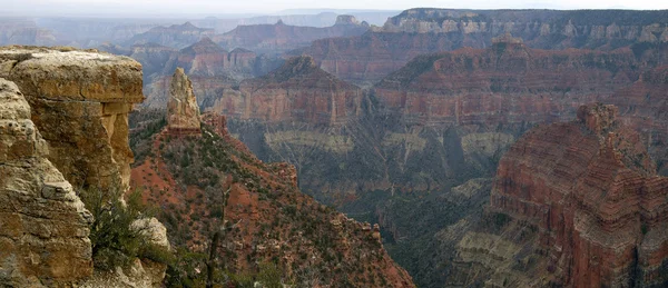 Grand Canyon - Mount Hayden from the Point Imperial Pano. — Stock Photo, Image