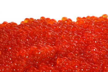 taze kırmızı havyar