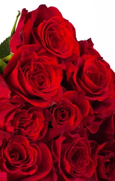 Schöner Strauß roter Rosen — Stockfoto