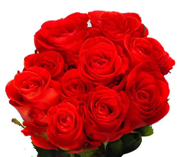 Güzel bir buket kırmızı gül