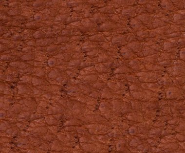 kahverengi deri doku veya arka plan