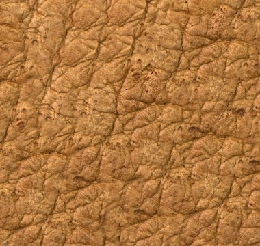 kahverengi deri doku veya arka plan