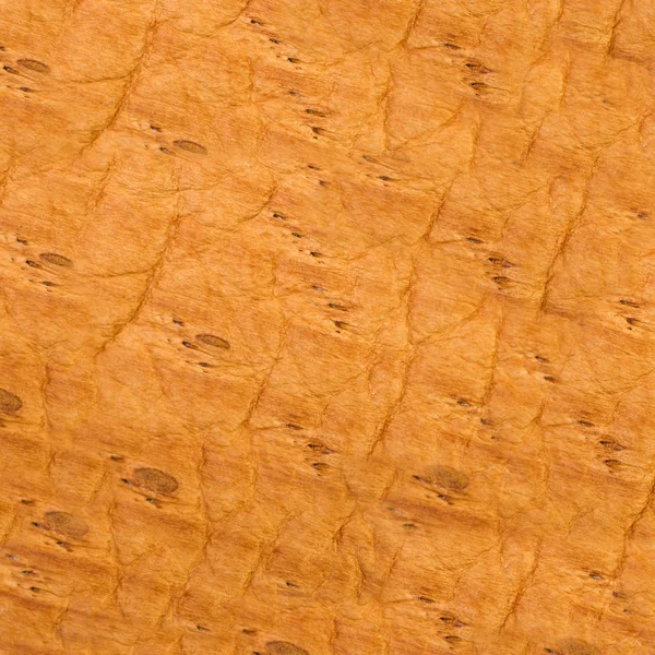 Orange leather texture or background — Stock Photo, Image