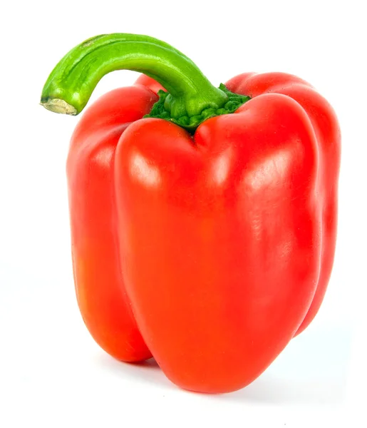 Pepper isolert – stockfoto