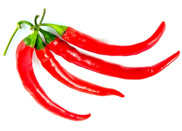 Rød chili-pepper – stockfoto