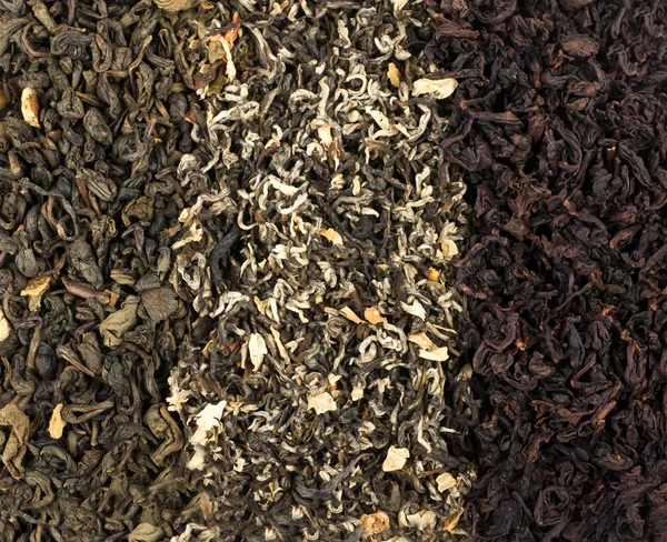 Tea loose dried tea leaves — Stock Photo, Image