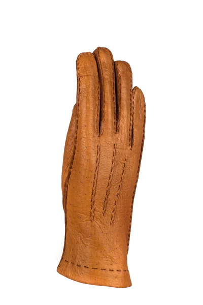 妇女手套 — 图库照片