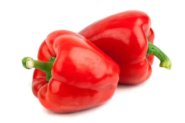 Pepper isolated — Stock Photo, Image