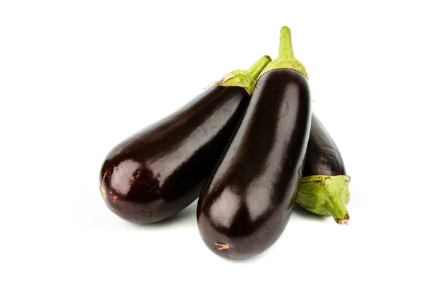 Eggplant aubergine — Stock Photo, Image