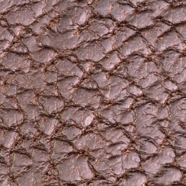 kahverengi deri doku veya arka plan