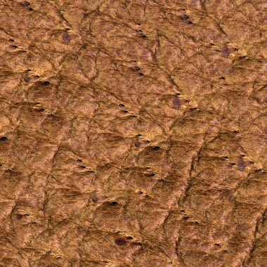 kahverengi deri doku veya arka plan