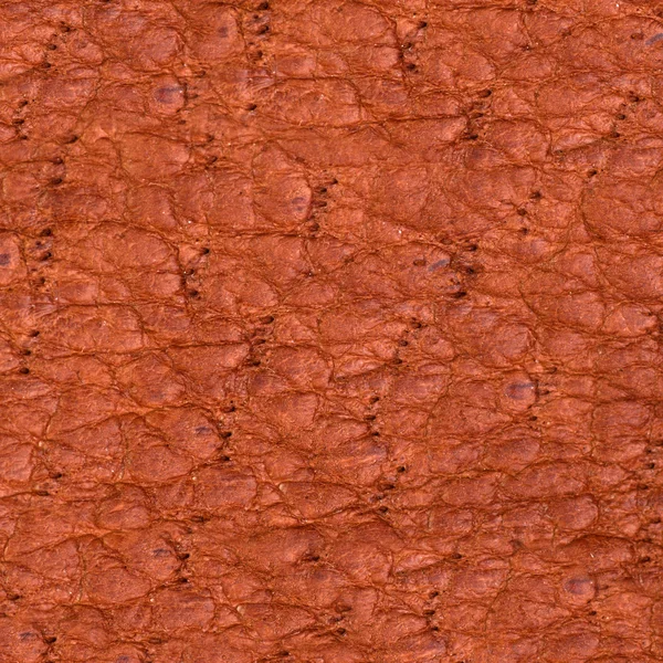 Brown leather texture or background — Stock Photo, Image