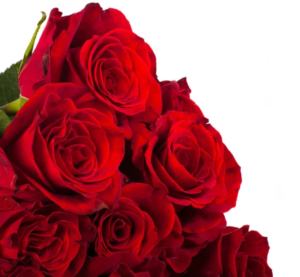 Beautiful bouquet of redroses — Stock Photo, Image