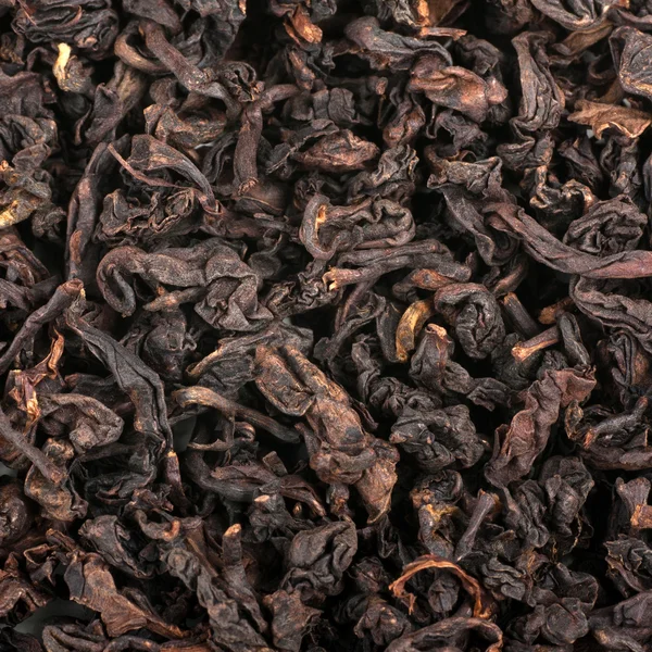 Tea loose dried tea leaves — Stock Photo, Image