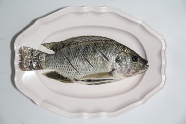 tilapia beyaz zemin üzerine cook için