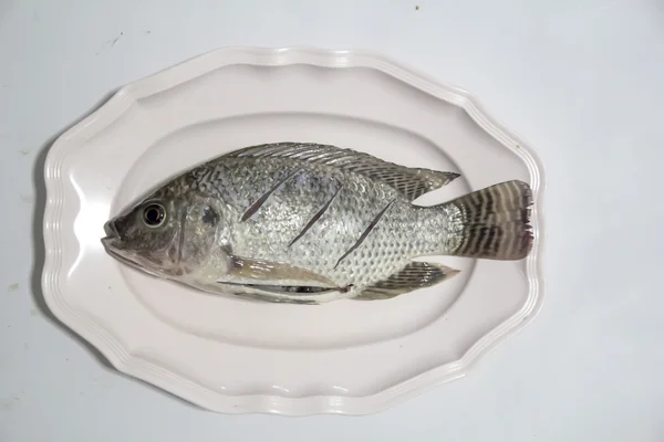 Tilapia for cook on white background — Stock Photo, Image