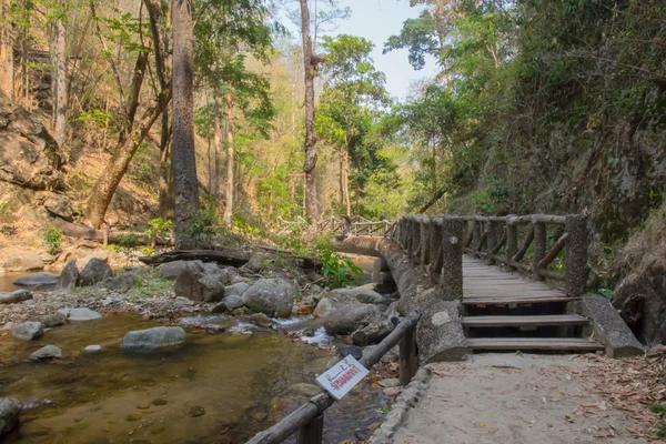 Puente pasarela en el bosque . — Foto de Stock