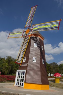 Kırmızı çiçekler & güzel yel değirmeni