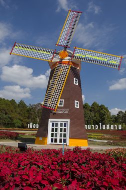 Kırmızı çiçekler & güzel yel değirmeni