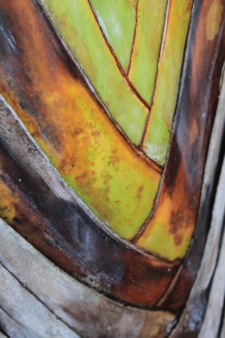 muz gibi bir darbe arka plan doku cascaded bırakır