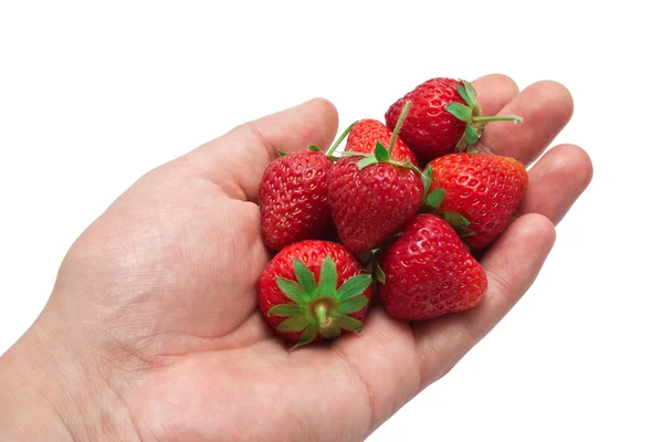 Aardbei in haar hand Rechtenvrije Stockfoto's