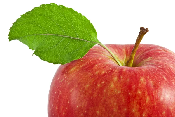 苹果与叶上白色隔离 — 图库照片