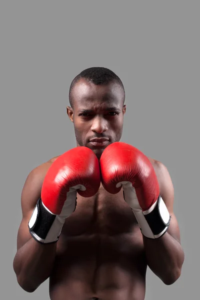 African boxer in boxing gloves — Stock Photo, Image